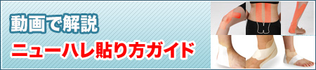 ビデオで解説 ニューハレVテープ